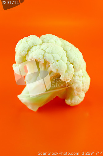Image of Fresh cauliflower