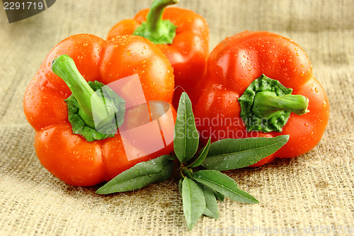 Image of Red sweet pepper 