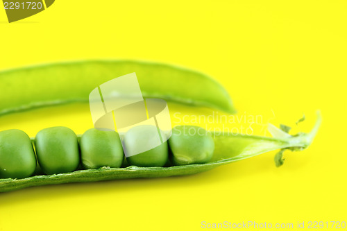 Image of fresh pea