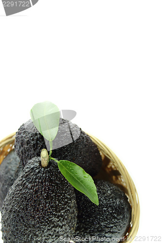 Image of Avocados