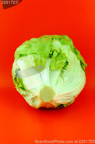 Image of Green Iceberg lettuce