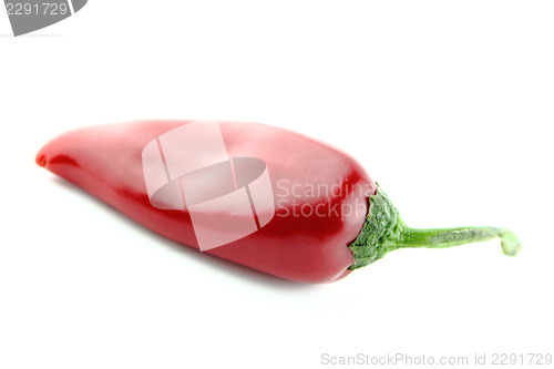 Image of red hot chili 