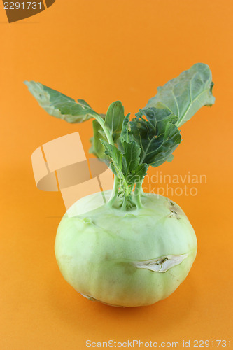 Image of Cabbage kohlrabi