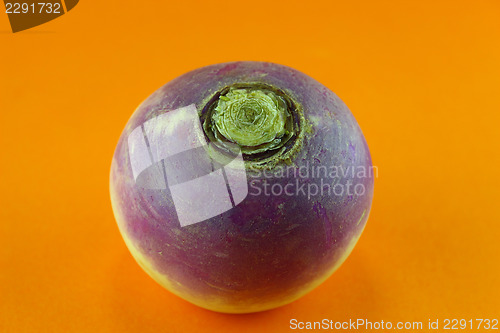 Image of purple headed turnips