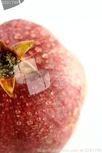 Image of Ripe pomegranate