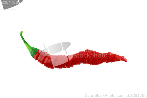 Image of red hot chili 