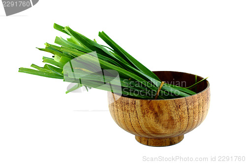 Image of Fresh healthy bio leek