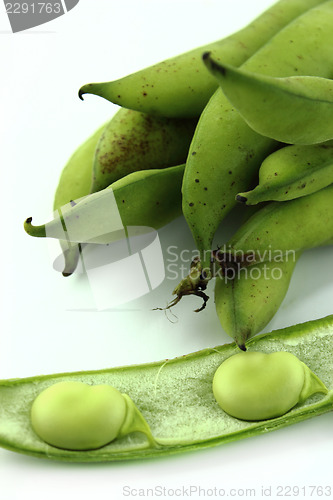 Image of broad bean pods and beans