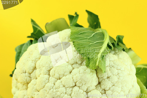 Image of Fresh cauliflower