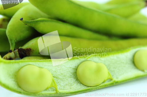 Image of broad bean pods and beans