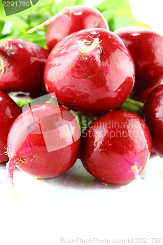 Image of red radish