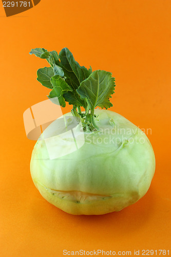 Image of Cabbage kohlrabi