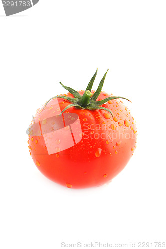 Image of fresh tomatoes