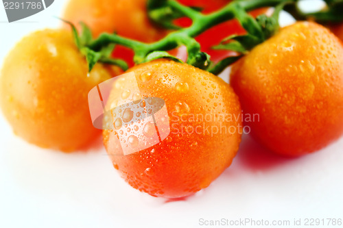 Image of fresh cherry tomatoes