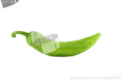 Image of Green hot chili 
