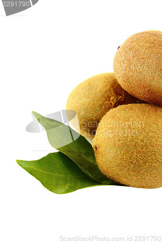 Image of kiwi fruit