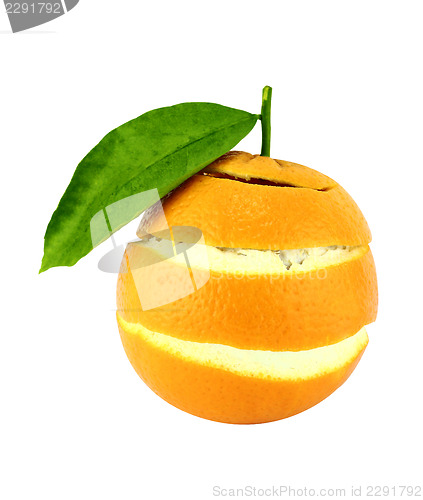 Image of Orange Fruit