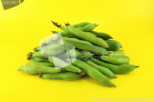 Image of broad bean pods and beans