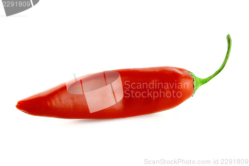 Image of red hot chili 