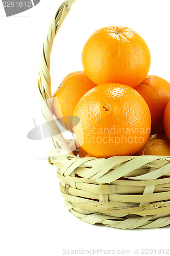 Image of Orange Fruit