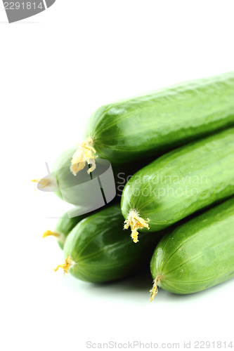 Image of Fresh Cucumber 