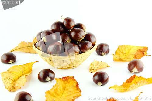 Image of Sweet chestnuts