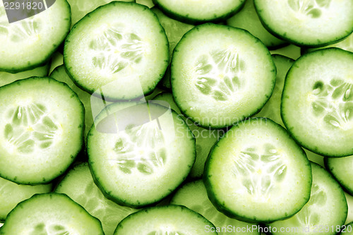 Image of Fresh Cucumber 