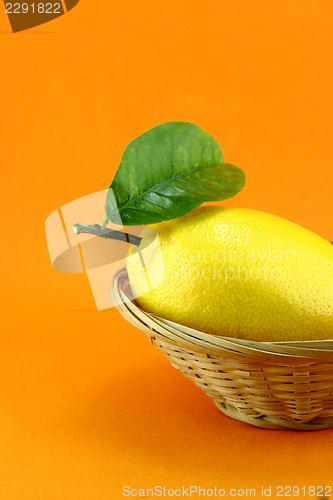 Image of lemon