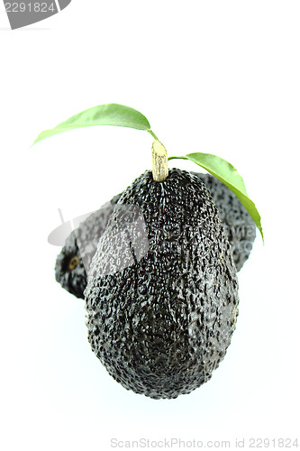 Image of Avocados