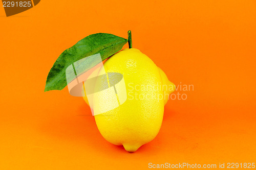 Image of lemon