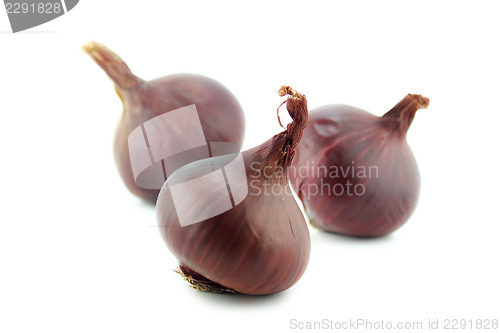 Image of Ripe red onions