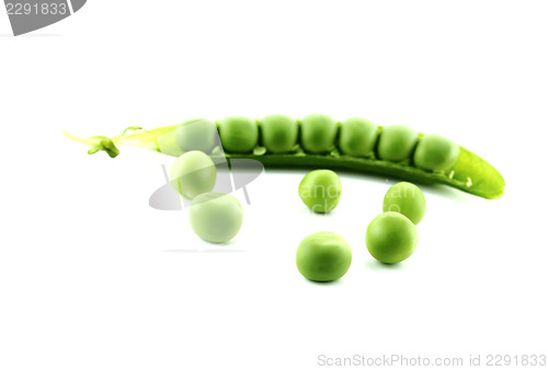 Image of fresh pea