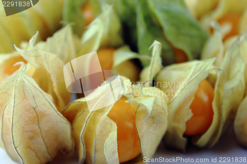 Image of Cape gooseberry