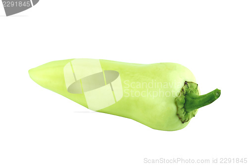 Image of Green hot chili 