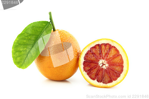 Image of Orange Fruit