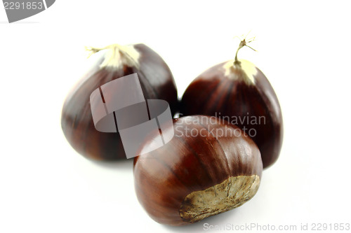 Image of Sweet chestnuts