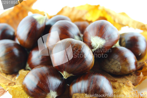 Image of Sweet chestnuts