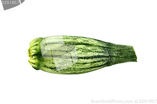 Image of Fresh zucchini