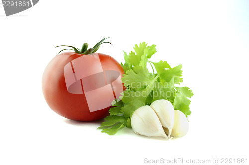 Image of fresh tomatoes