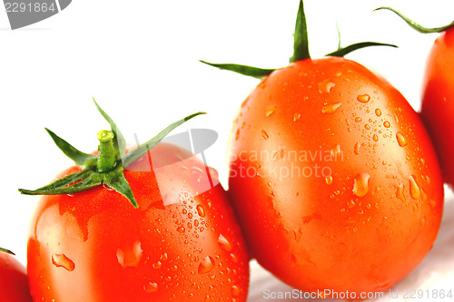 Image of fresh tomatoes