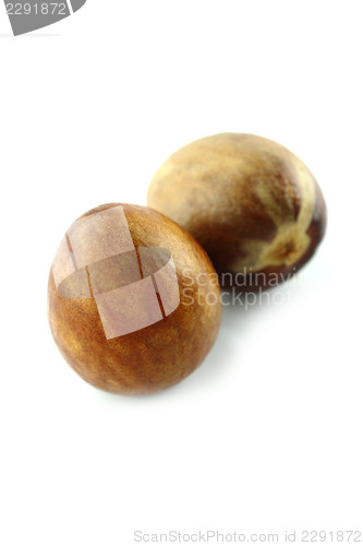 Image of avocado seed