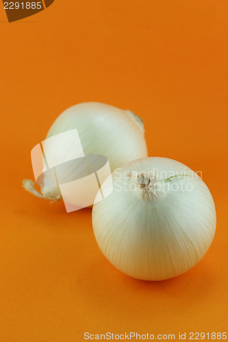 Image of Ripe white onions