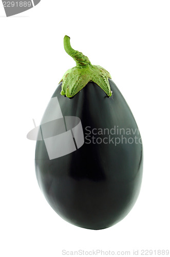 Image of fresh eggplant 