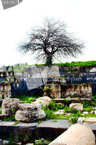 Image of Umm Qais City