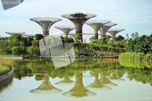 Image of Gardens by the Bay in Singapore