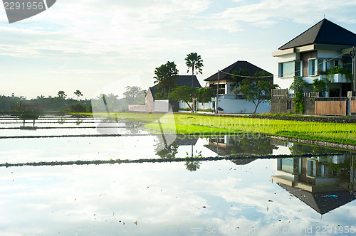 Image of Bali living
