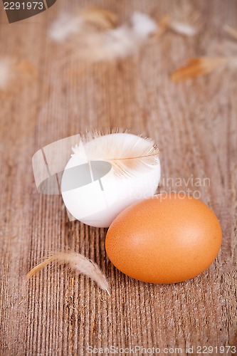 Image of two eggs and feathers 