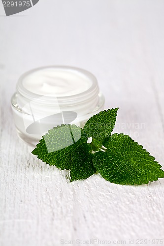 Image of face cream in glass jar with green leaf of urtica