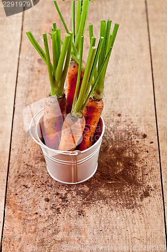 Image of fresh carrots bunch in white bucket