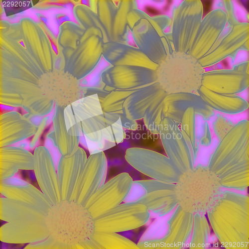 Image of Digital Art of Nature